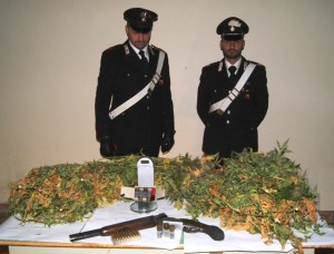 fucile e cannabis