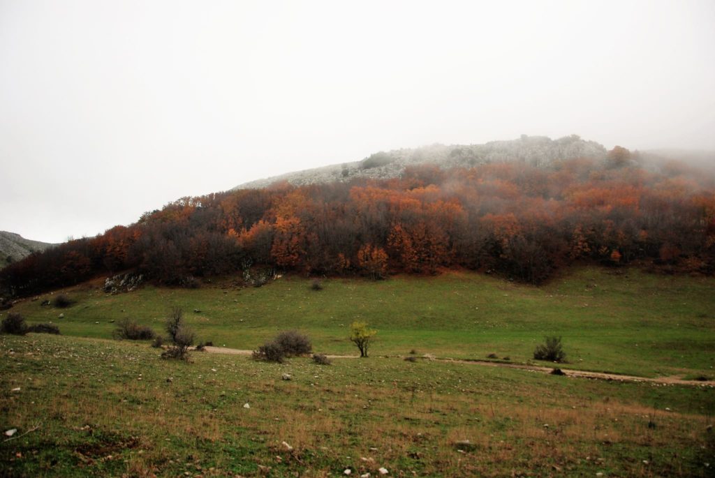 pianobattaglia8